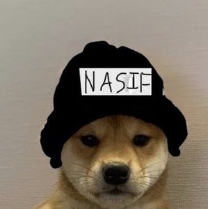 Meet your Posher, Nasif